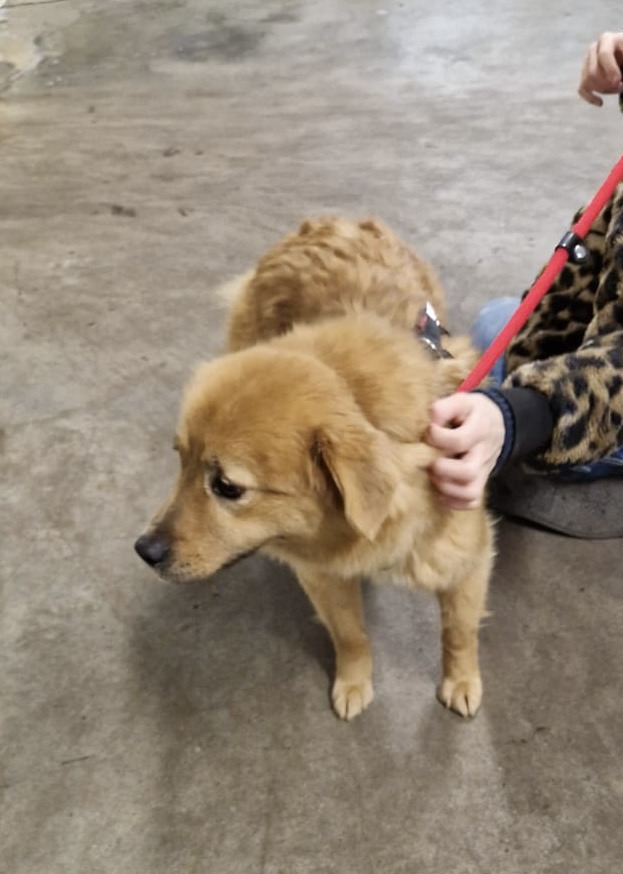 365a123b bbab 4c5d babf e21eaaaf6478