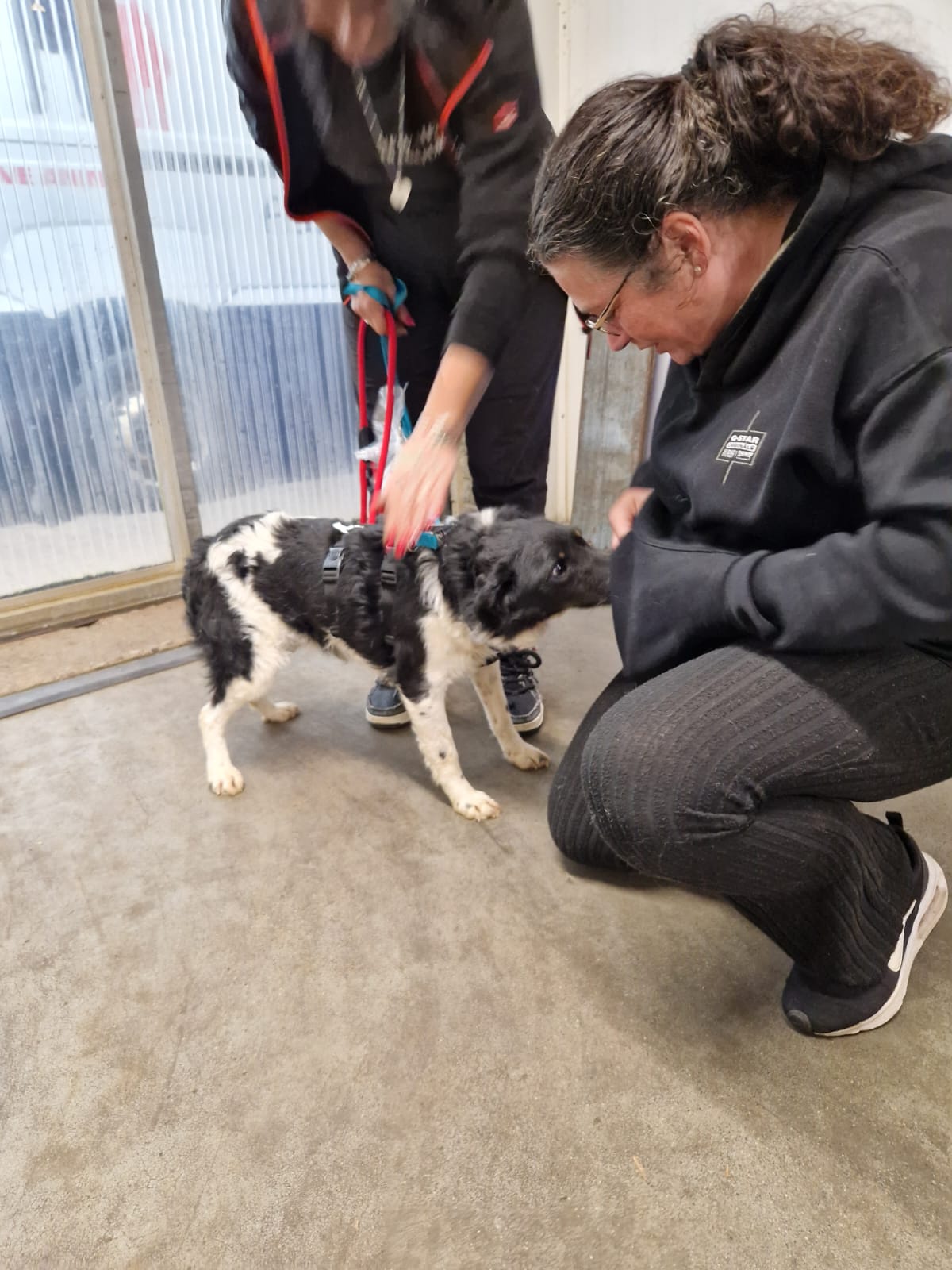 3ce06c8c 1d53 446c b808 cd7b9addc5d0