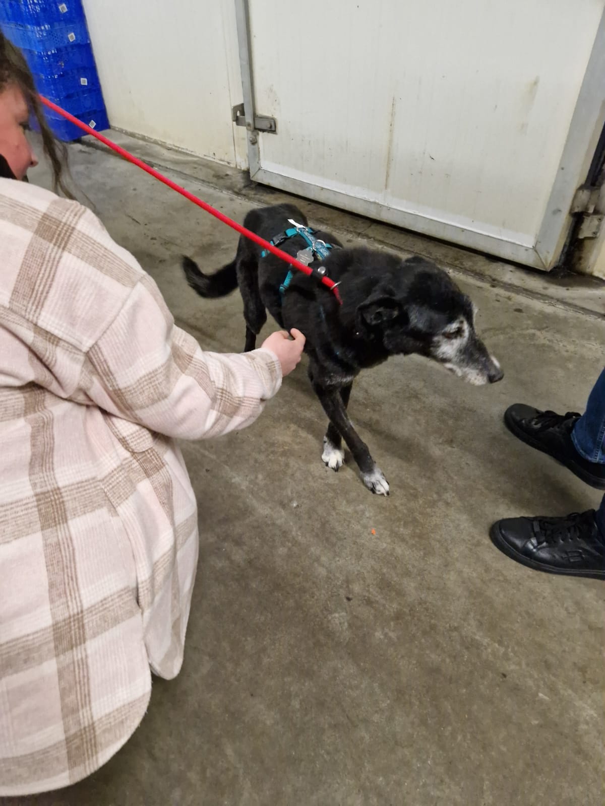 6732ac28 1c2b 4c3d 9387 20674535bd64