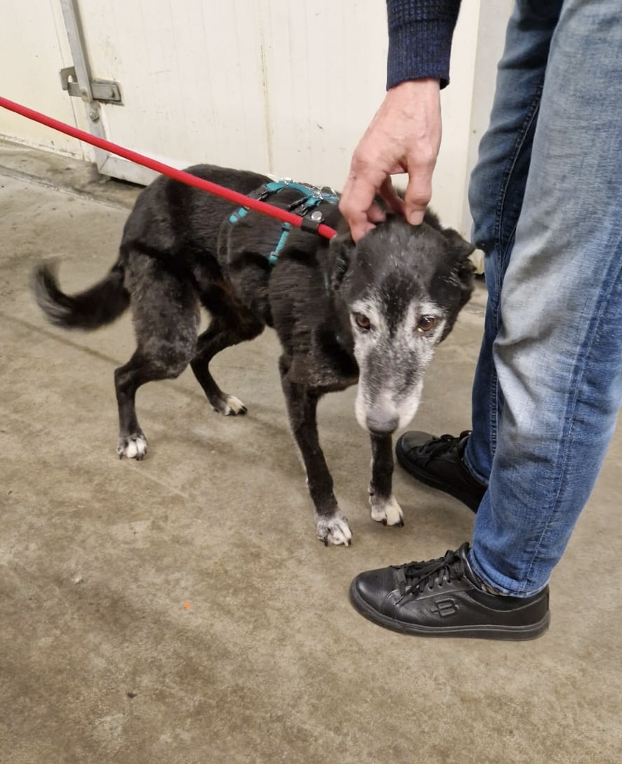 7132d9c7 b63e 4d4e b0fd 5b3bd85146a1