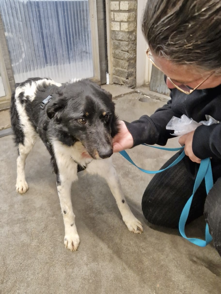 8412cf64 37df 438d 8ddc 7910dd70abb6