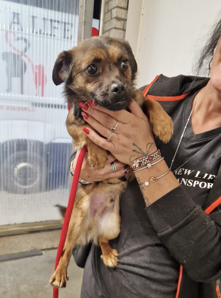 8ed833ea bf3e 4be1 84e2 7a6a5417a0c2