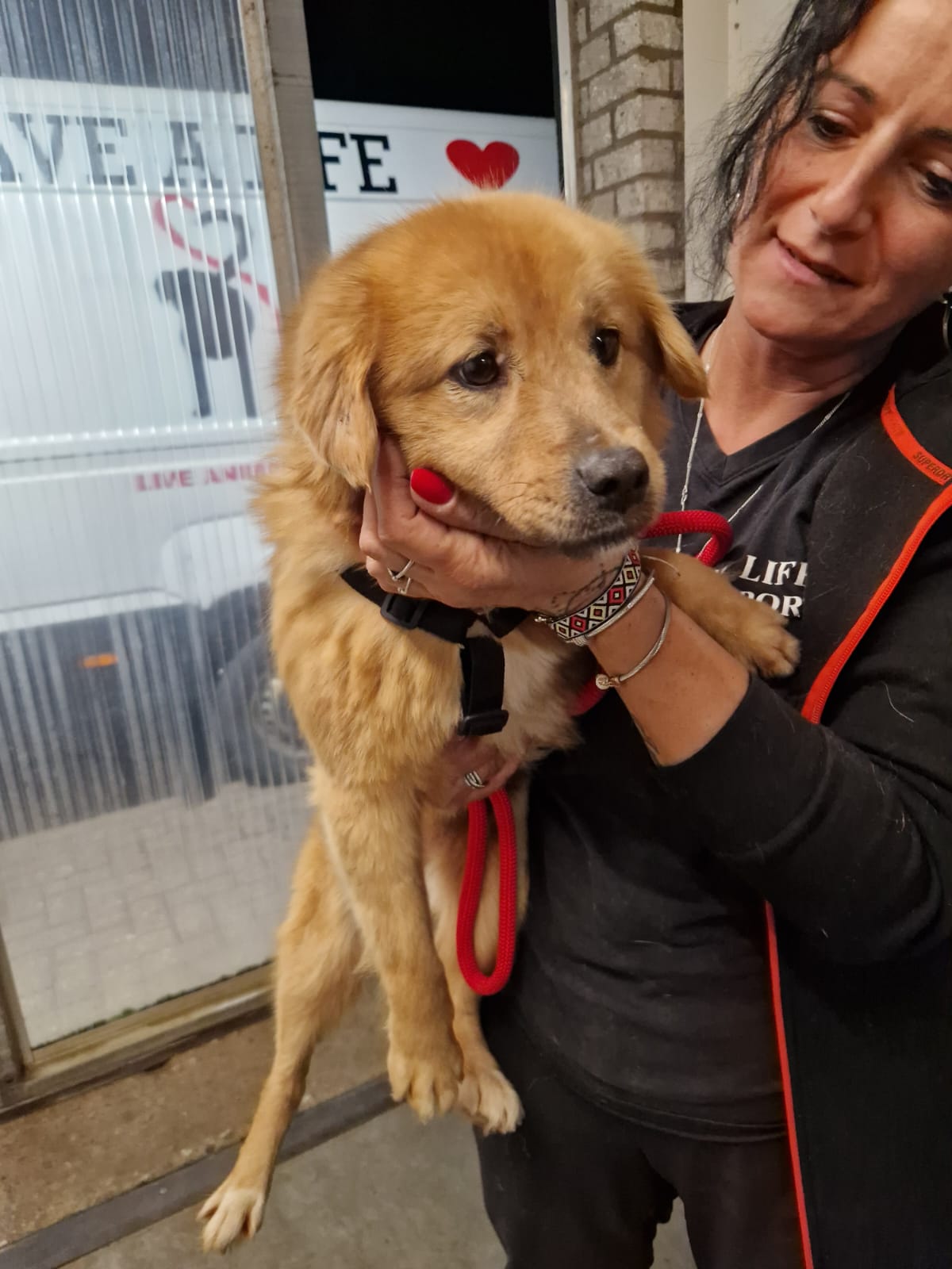 ed21b450 74e4 4298 97b7 e91f30eb1c86