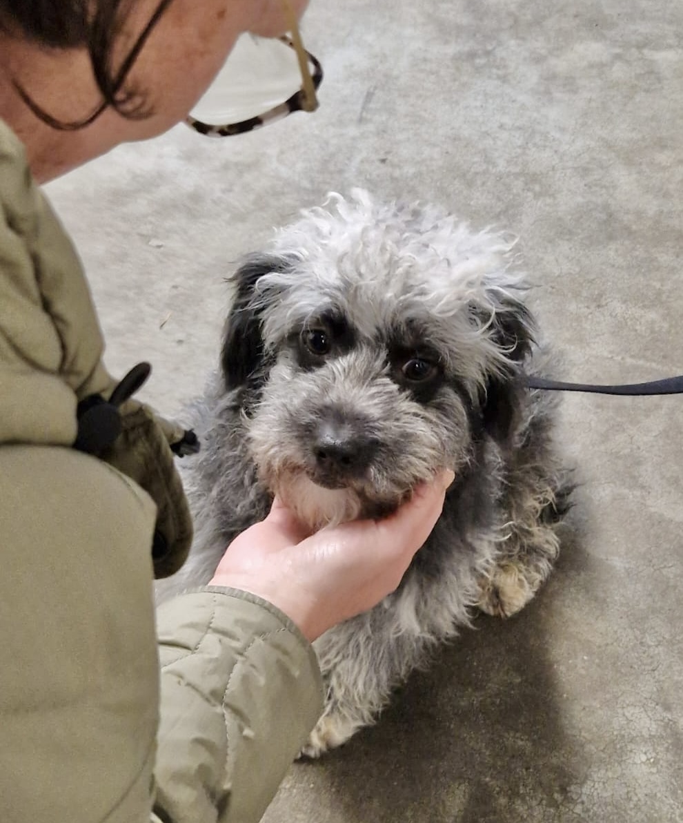 f19f94a6 61c1 4a20 b563 6b6ee466055f