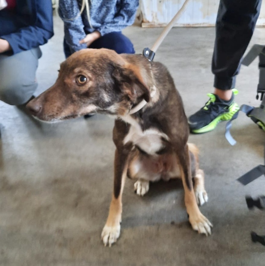 087003b7 0111 47da 9c1a 7a40495fdcc3