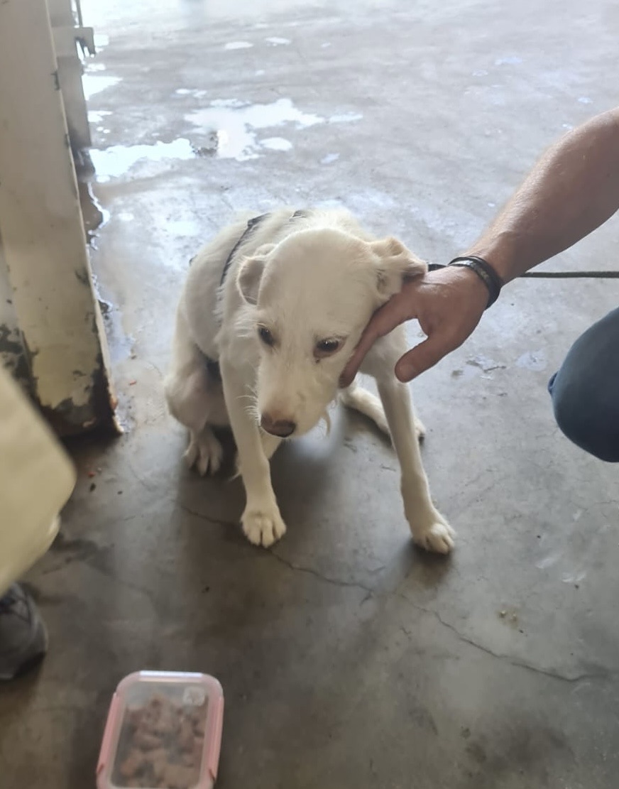 1a3fefdd 3006 4e1e b0c6 9e9f8948d0bf