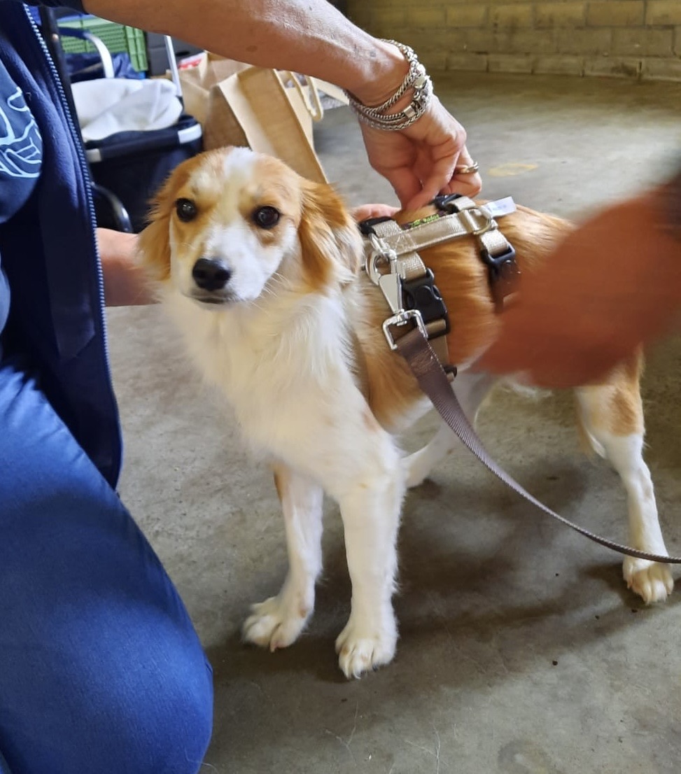 a0886c4d 6676 4082 80e5 67140b4609ad