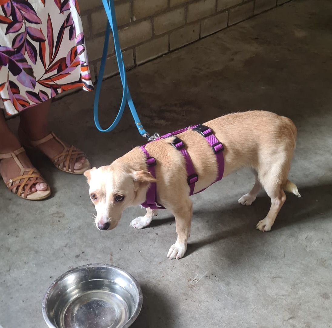 a97682ca f9f3 45ff aa69 7eb2a0ef5f1c