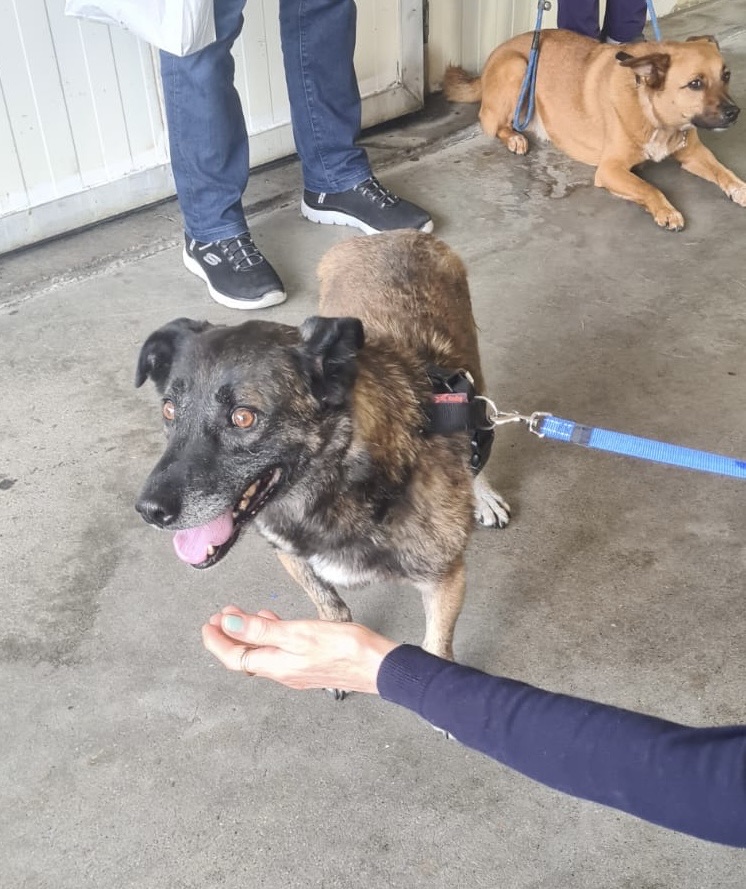 bd43efe6 10ea 41d1 93e9 07597945f6bf