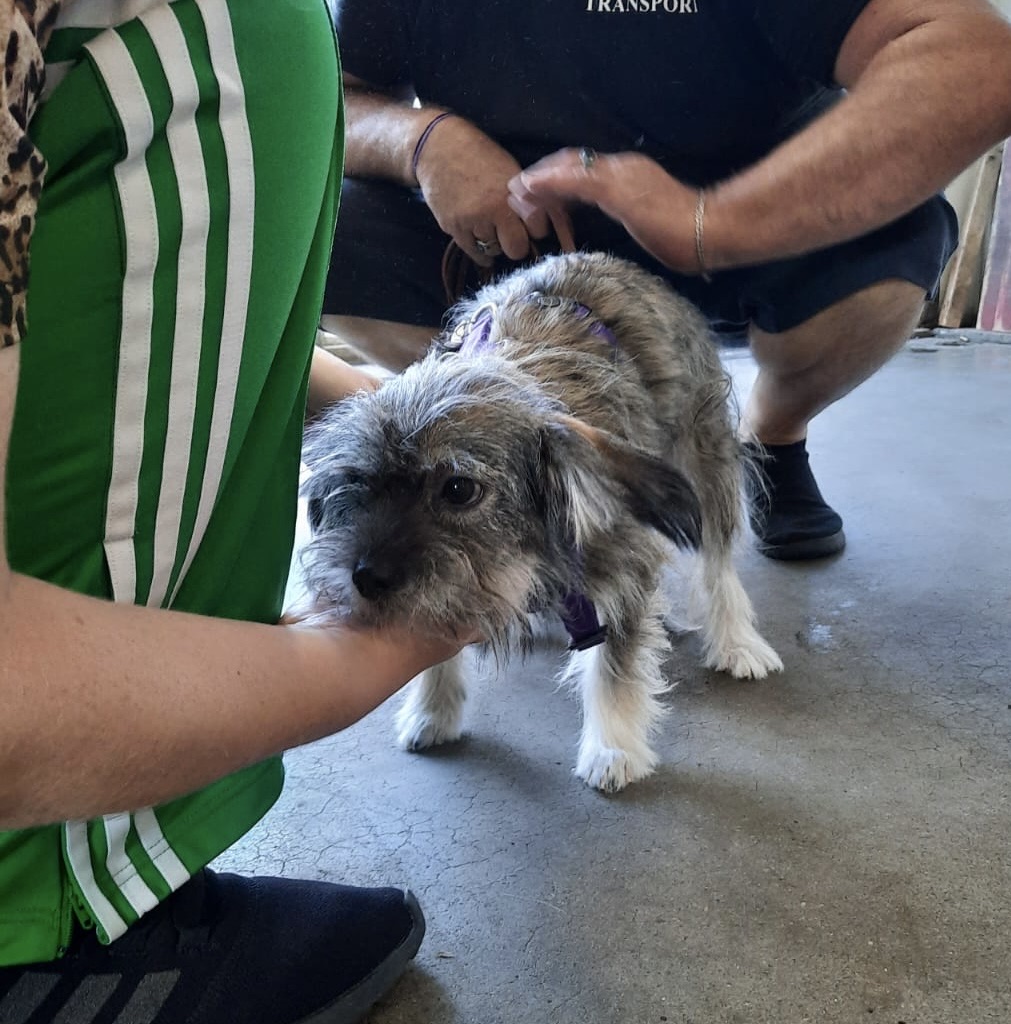 c525b889 f5db 4aa6 a1b0 2993001ebd60