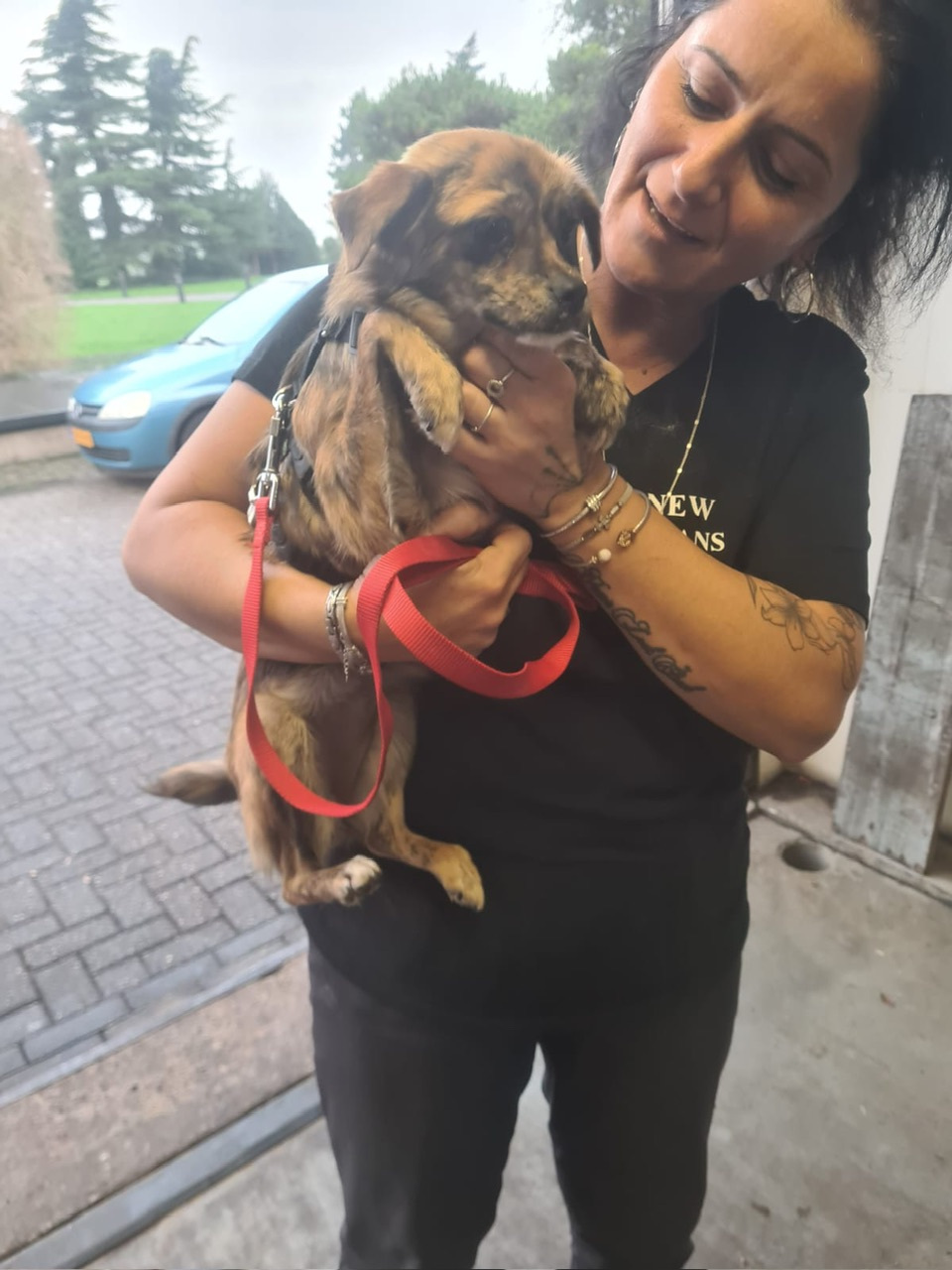 2ed2ecdb d5ed 4335 8045 f8083391e315