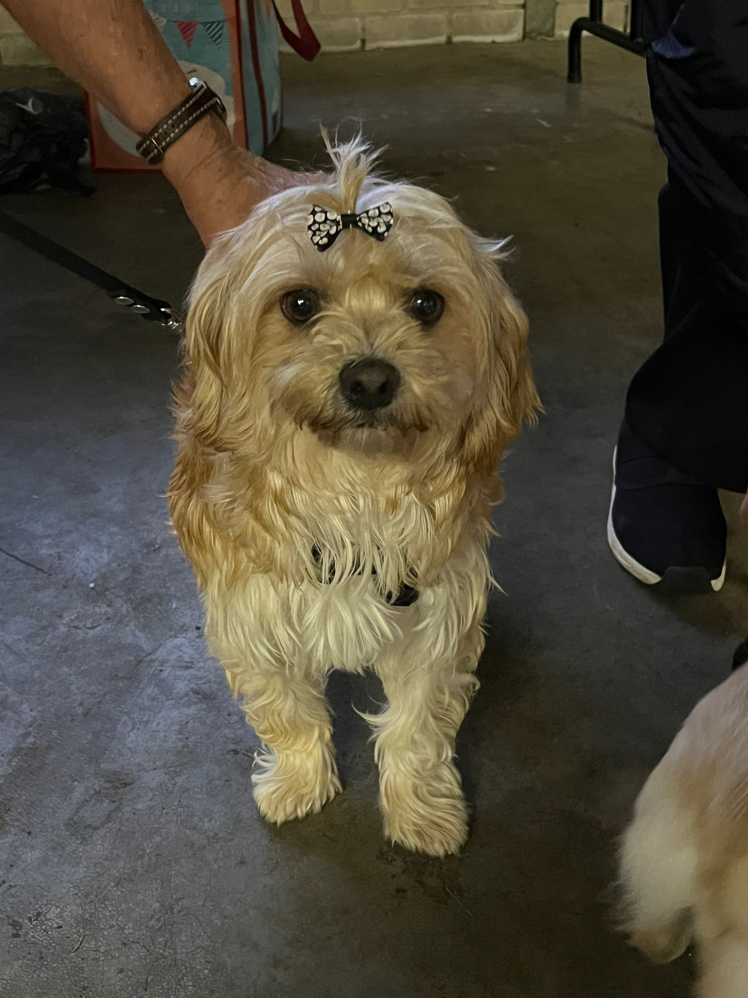 6fa5b90a 6be9 4b7a 8128 80fe38242b28