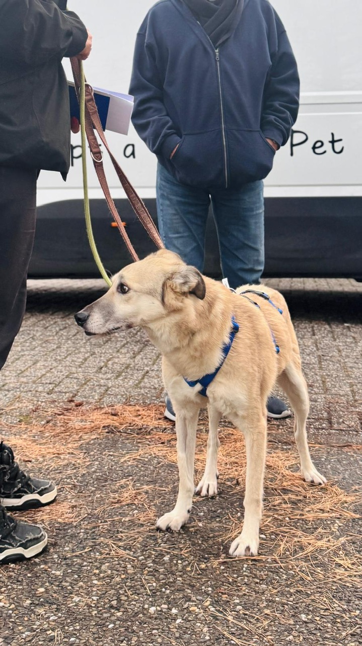 8a4e64ee fd0c 4d6a 8f78 ccdad7934e53