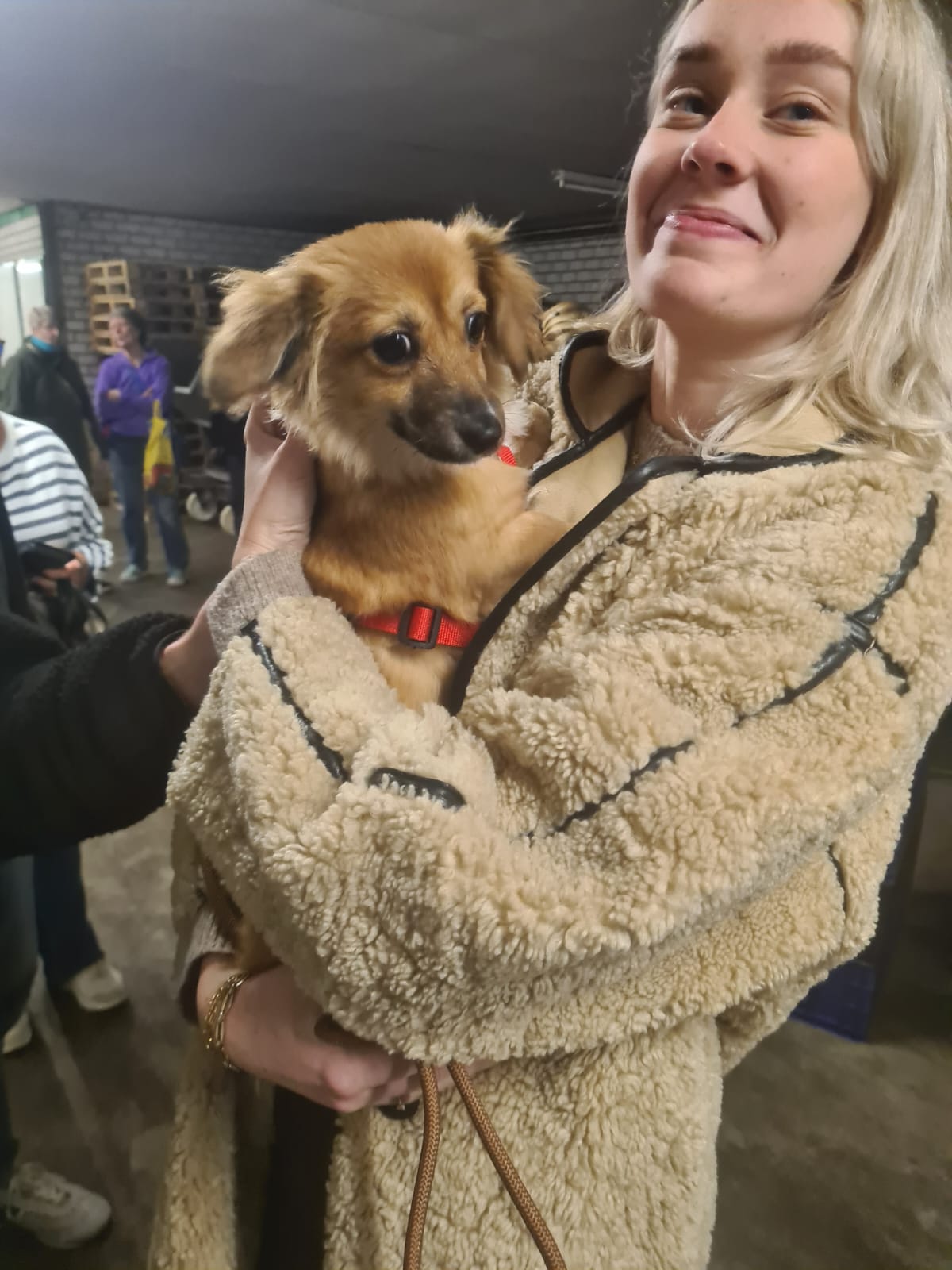 a621f7ae dece 40ed 9554 92af209d2891