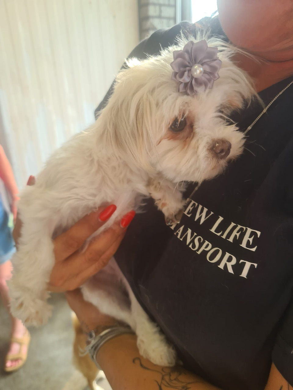 26039a8a f07e 4c9e 81fb c5b7ab360376