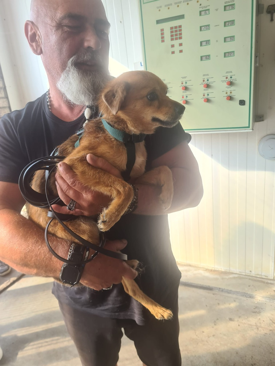 37465747 6ad7 4e26 96ab ebf8f8083b03