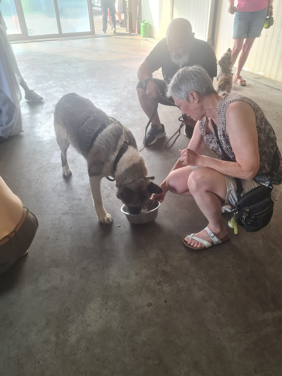 d364ff27 f822 4c88 8fd1 4756e4814dc2