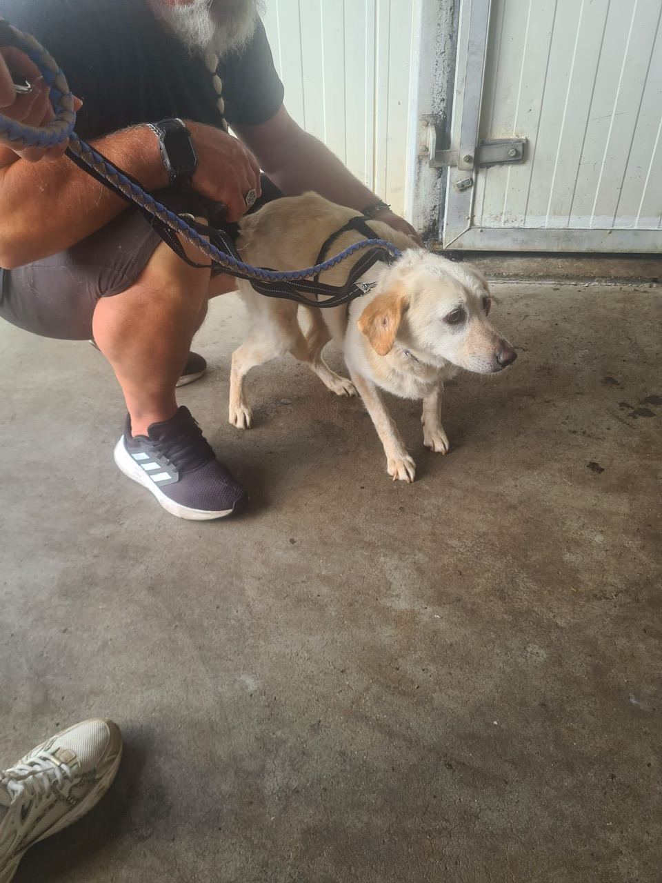 edaa3c20 c2f7 4640 ad61 8f6852dfccb2