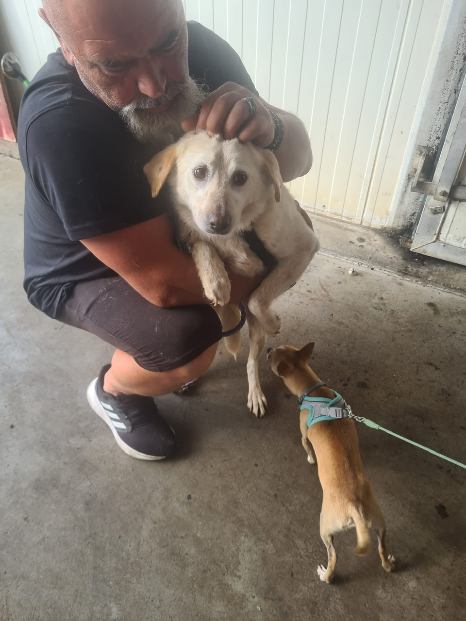 f92b5e63 846d 4f3c b12c 6a2d2c3ab6b6