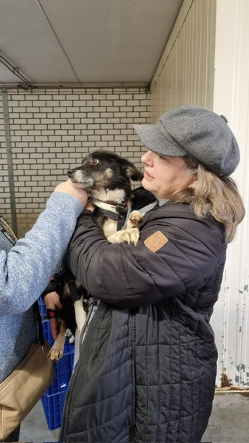 0603424e b63c 4fcd a006 b7a0447a4e1b