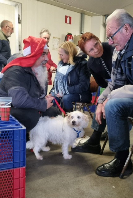 317dcdcf cc30 49df a617 4d6f3d712c28