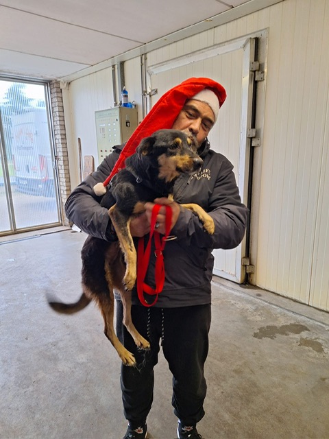 95d919db 8612 4048 8a29 4b07cef727ba