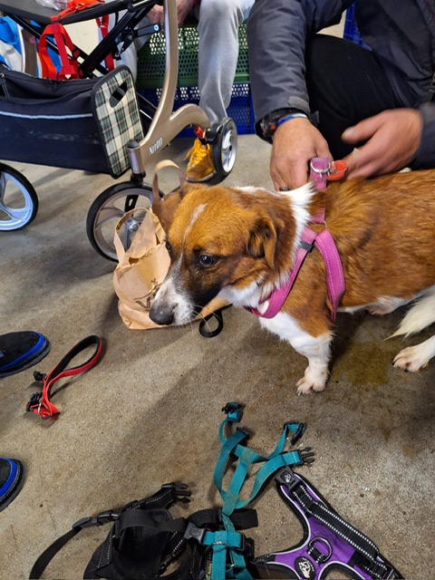 96c43aa9 6017 43e7 a928 d84c48d113e8