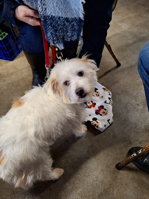 a3ec6c8b 8c85 4cb4 8e77 2960ab1c3771