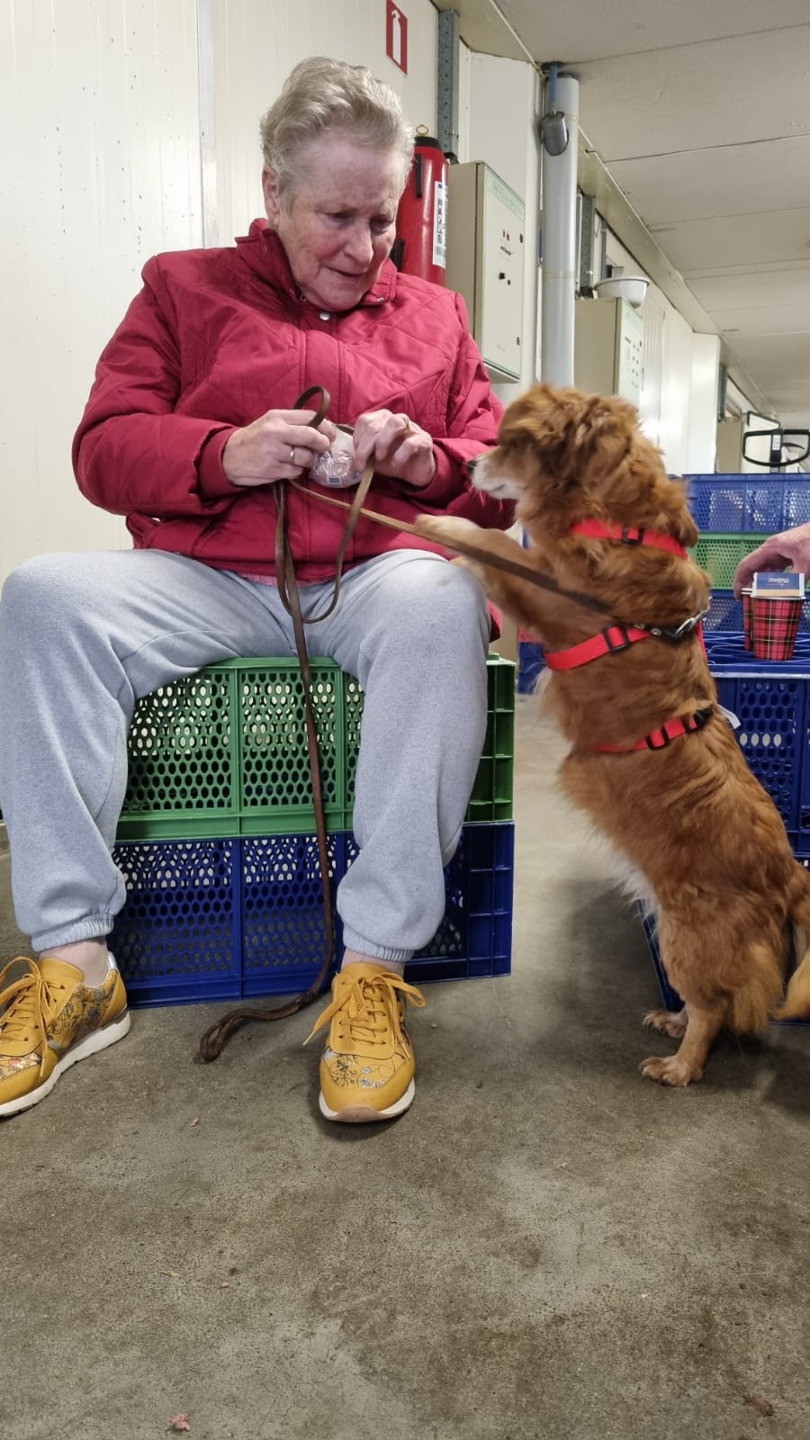 b74543db 20d5 4ff4 b51f 534ebae11466