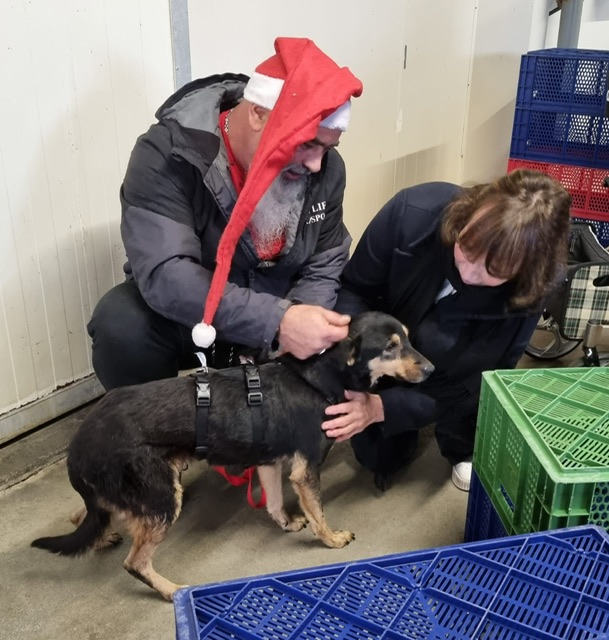 d12c4433 2d43 46fd ac80 2b13522bf18a