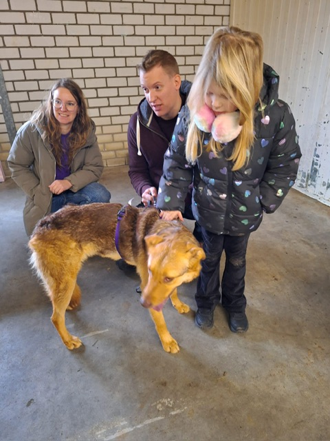 d4894f56 3f65 4b0d 9c87 b2cef280484a