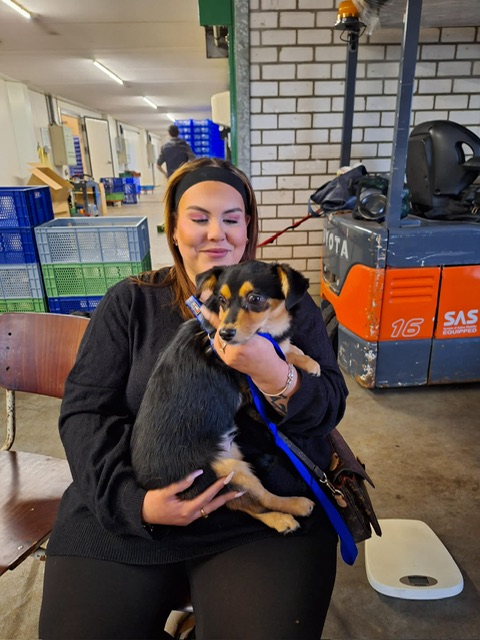 daa93036 a2be 4e93 8653 7ce5b69074dc