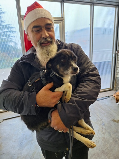 e52a3a24 e9fd 4402 8866 44169dce66ab