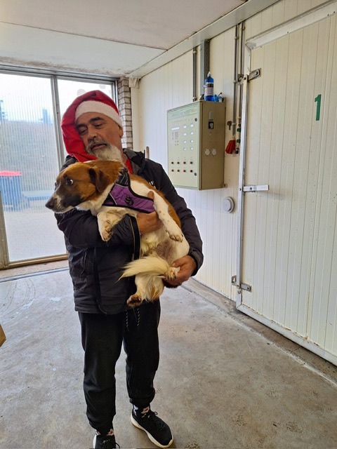 fde00bf9 3900 4270 bbfa 56e284a70197