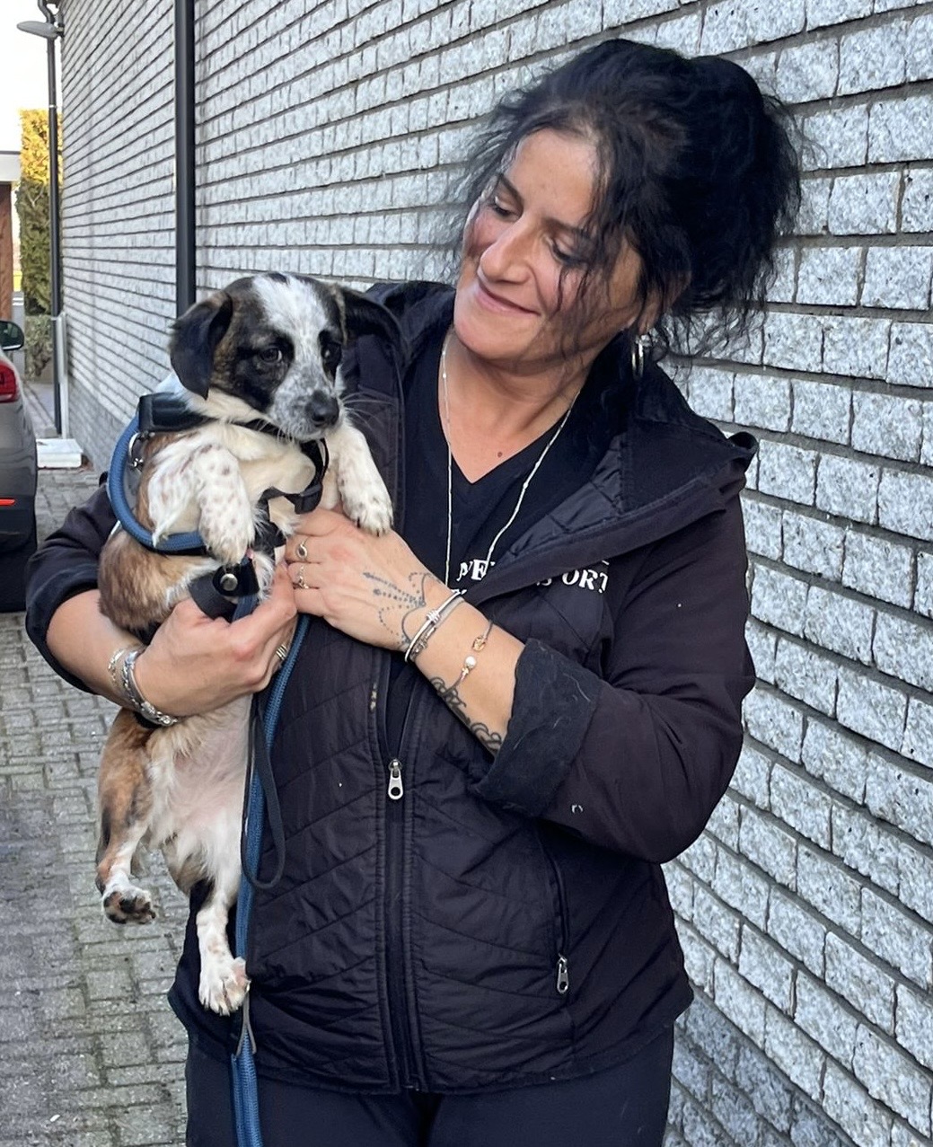 2471f1a8 1c00 4822 8b43 733e3dc36829