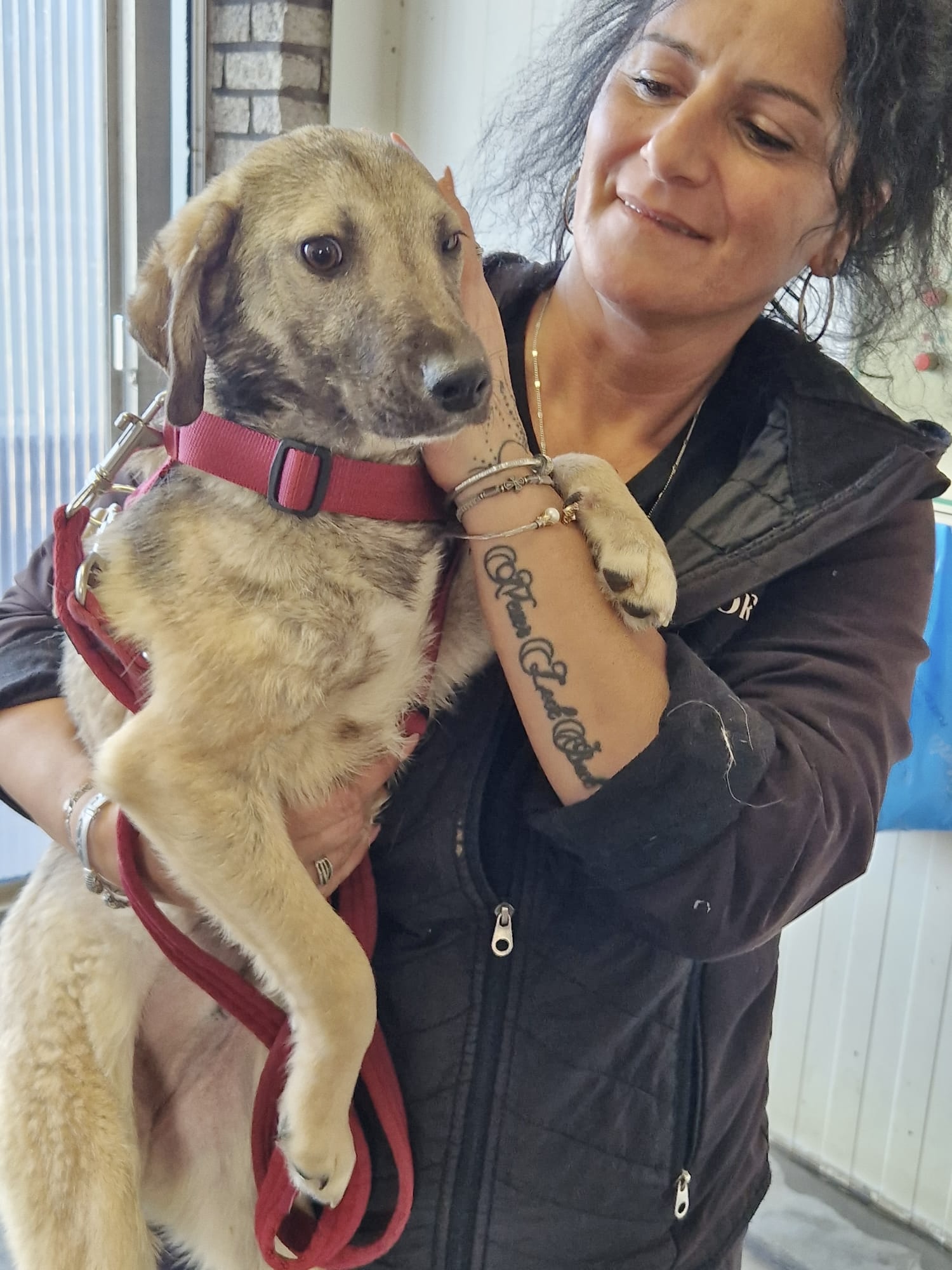 2a67a530 021a 4558 a744 c32f22c74718