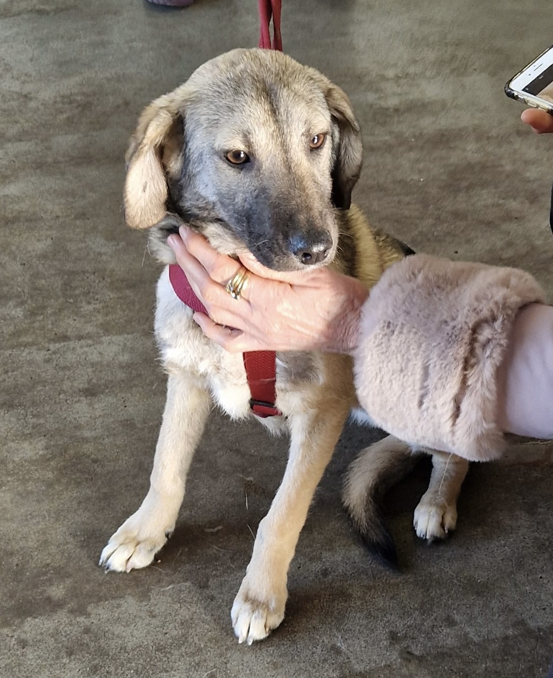 36be5fb7 ec8b 4942 9905 4f34337e7d9e