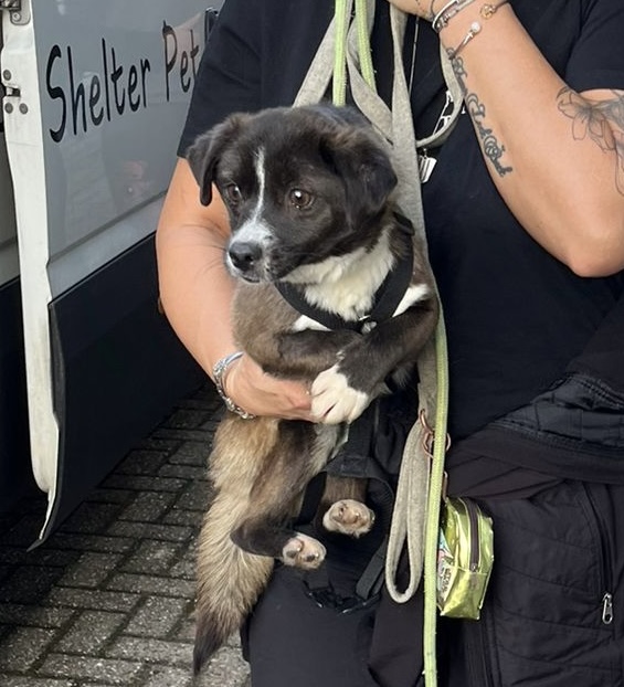 36e497cc 6f4d 4fea ad65 939846529fb5