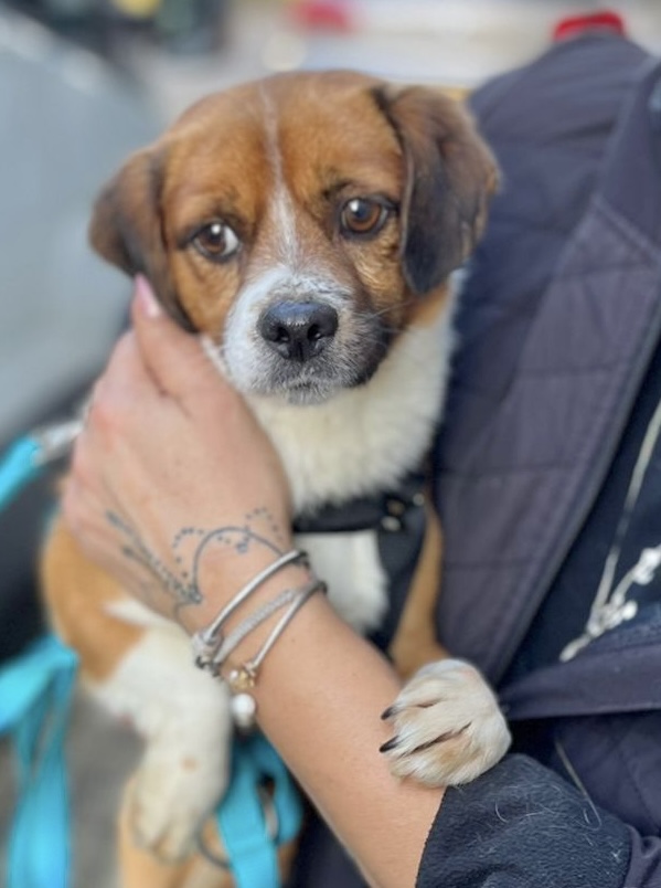 37b7cd0c a22a 49eb 870c 5b1ad36352da