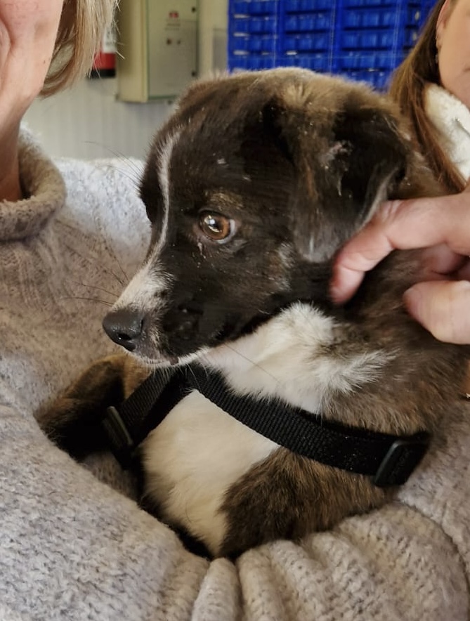 68f8efc8 1ee1 4b50 ac26 c7c97f2b66c2