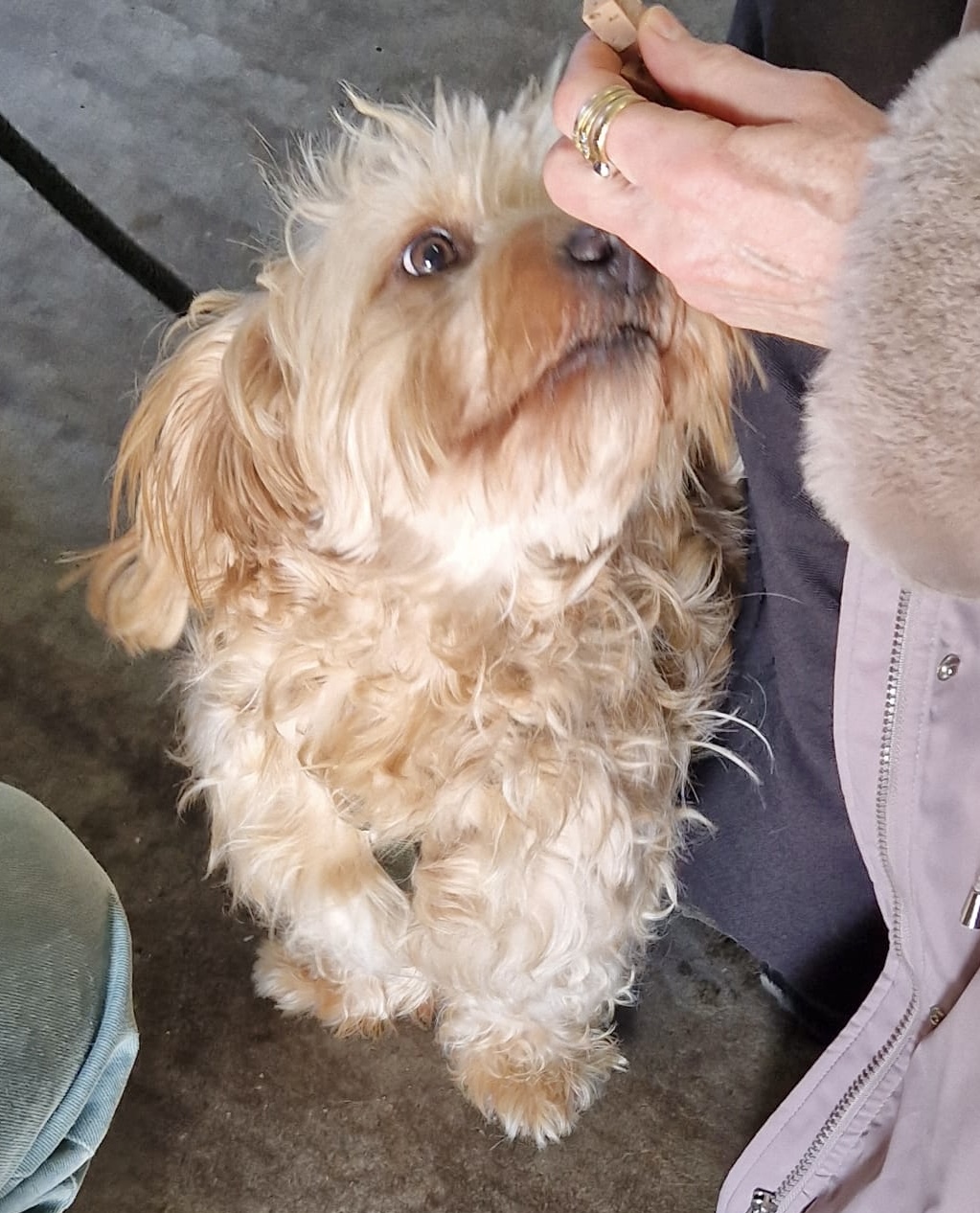 727f67e1 451e 4913 9679 8434cd59cb97