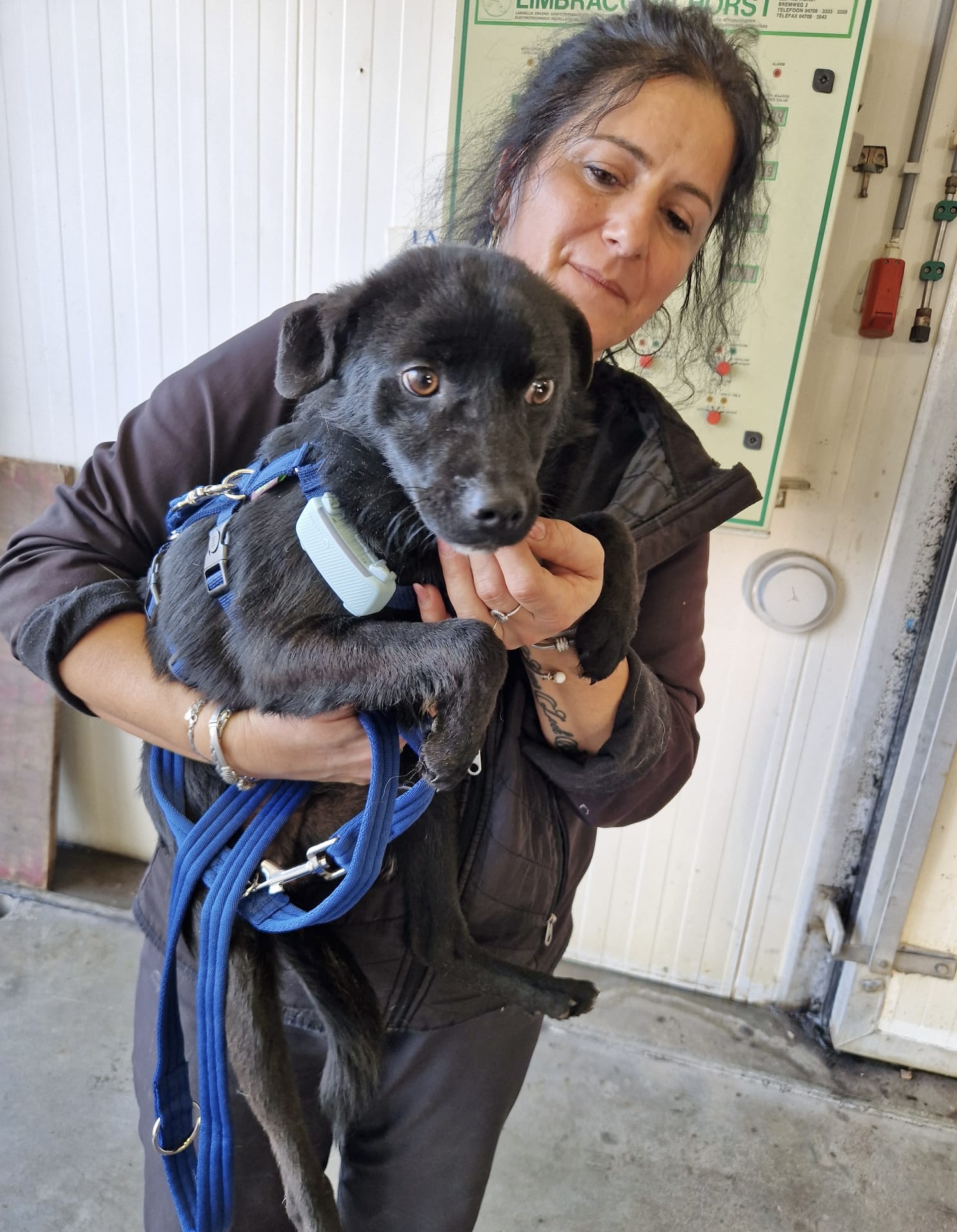 734ee2d4 6c61 4b2a a6ce d270b8904baf