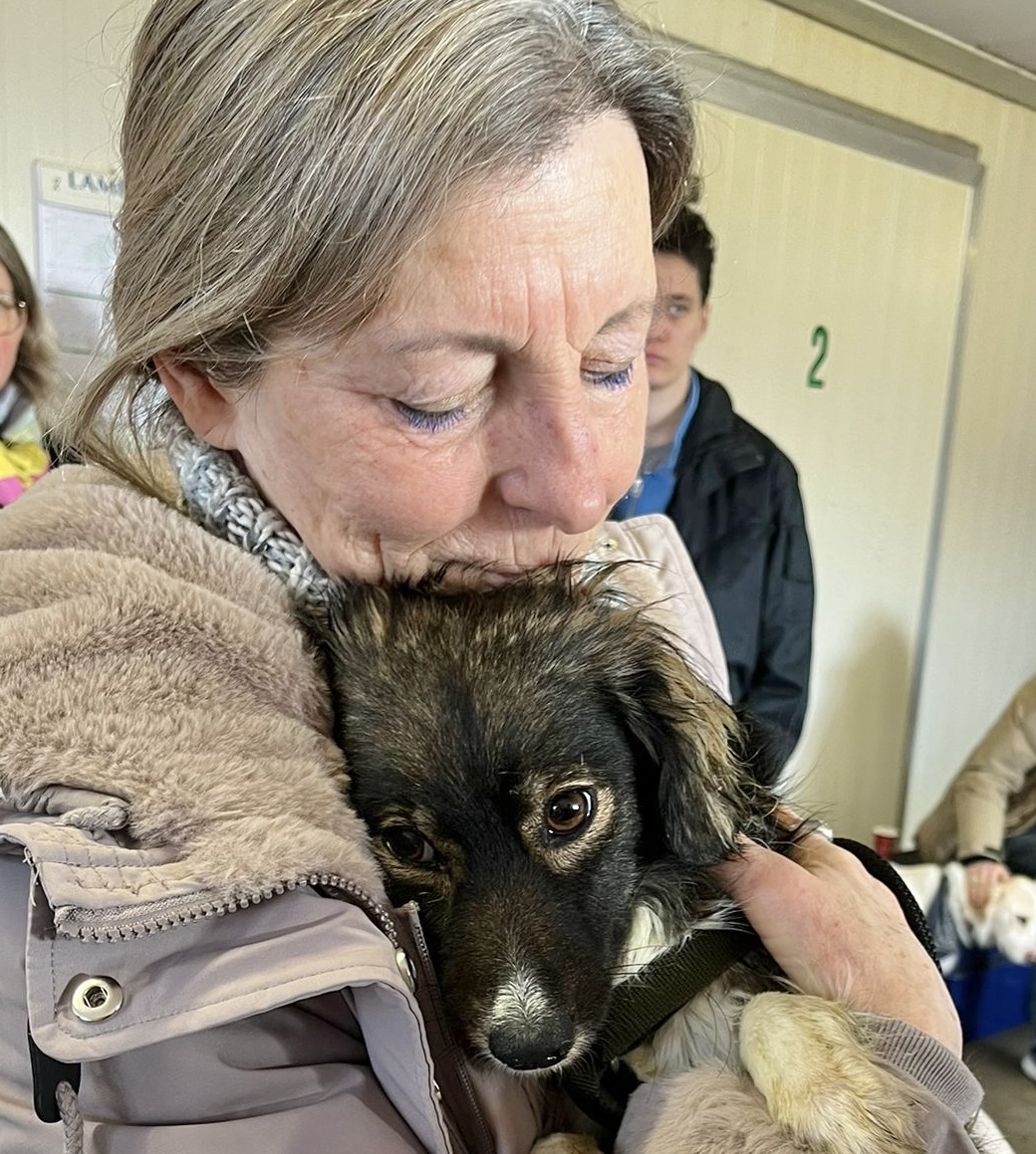 753951f1 8e32 438f 8fc6 244232343bfb