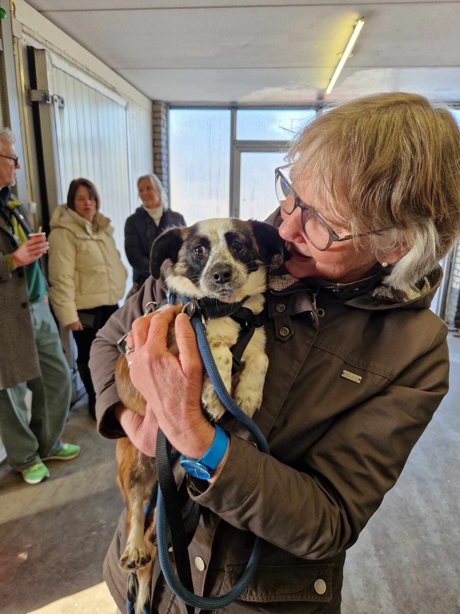 84ec8ee6 0393 4842 b0d4 c59618f64b46