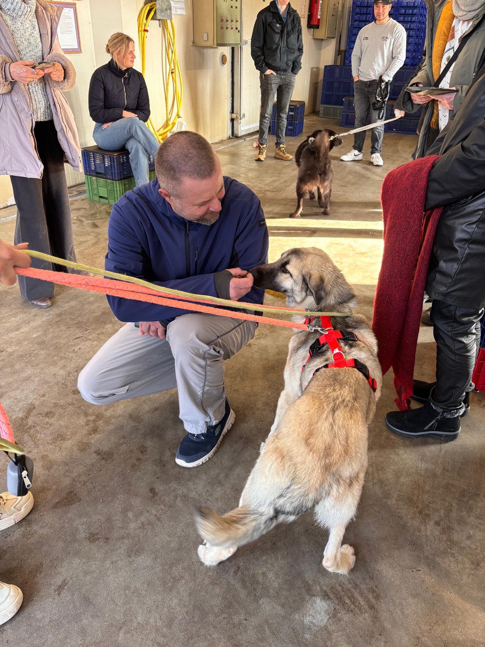 c7e42104 7291 4299 9a9b f3ba82eb8ba0