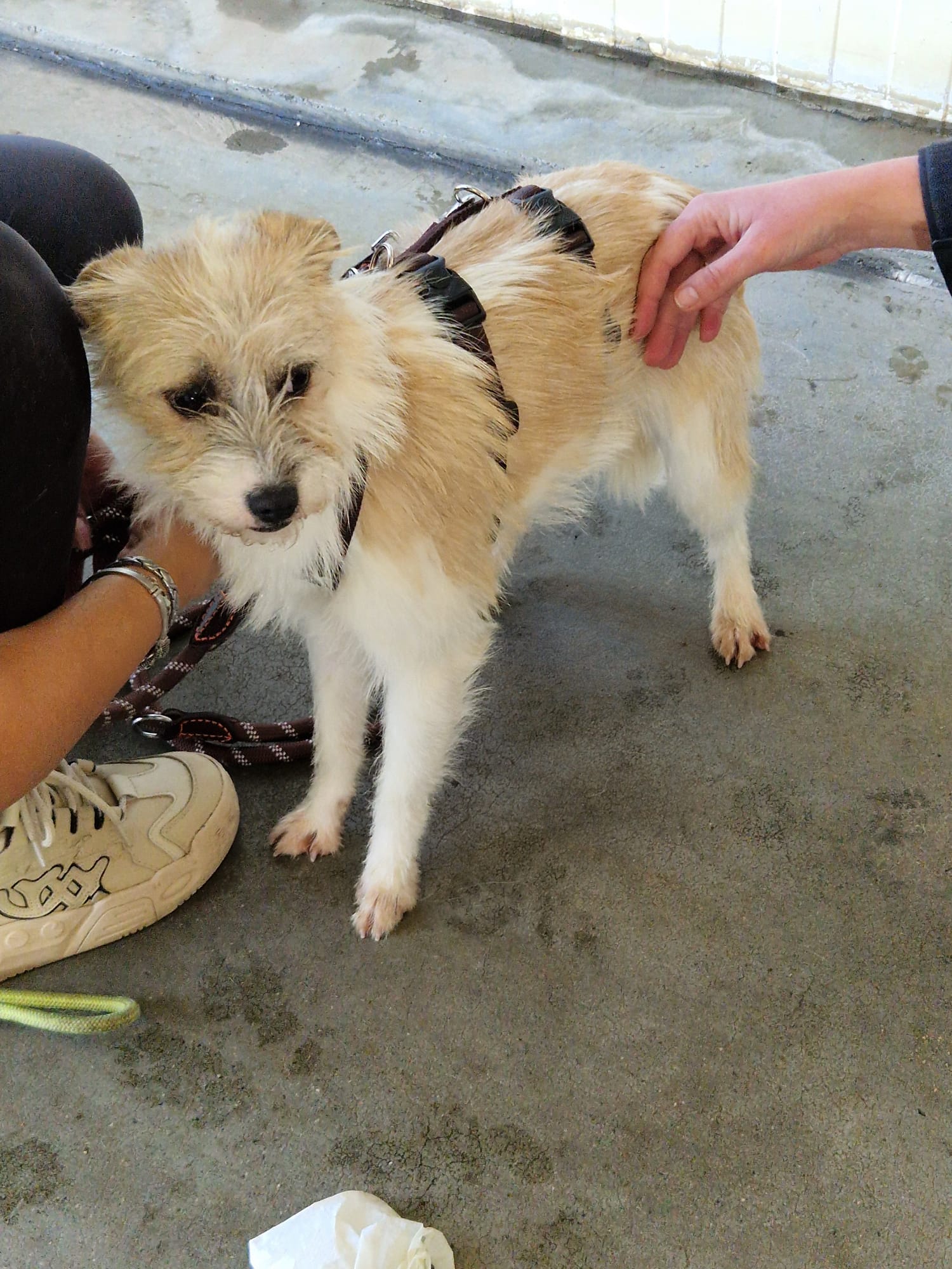 d9f373f0 230b 49fa 9b4a 0a6ffdc49b0e