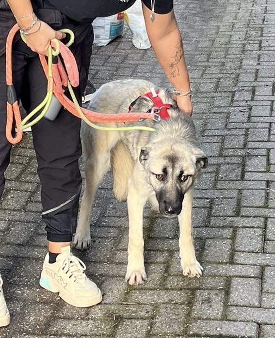 ddbc50b1 aa06 4dd6 b0fc 2afa0d5614cb