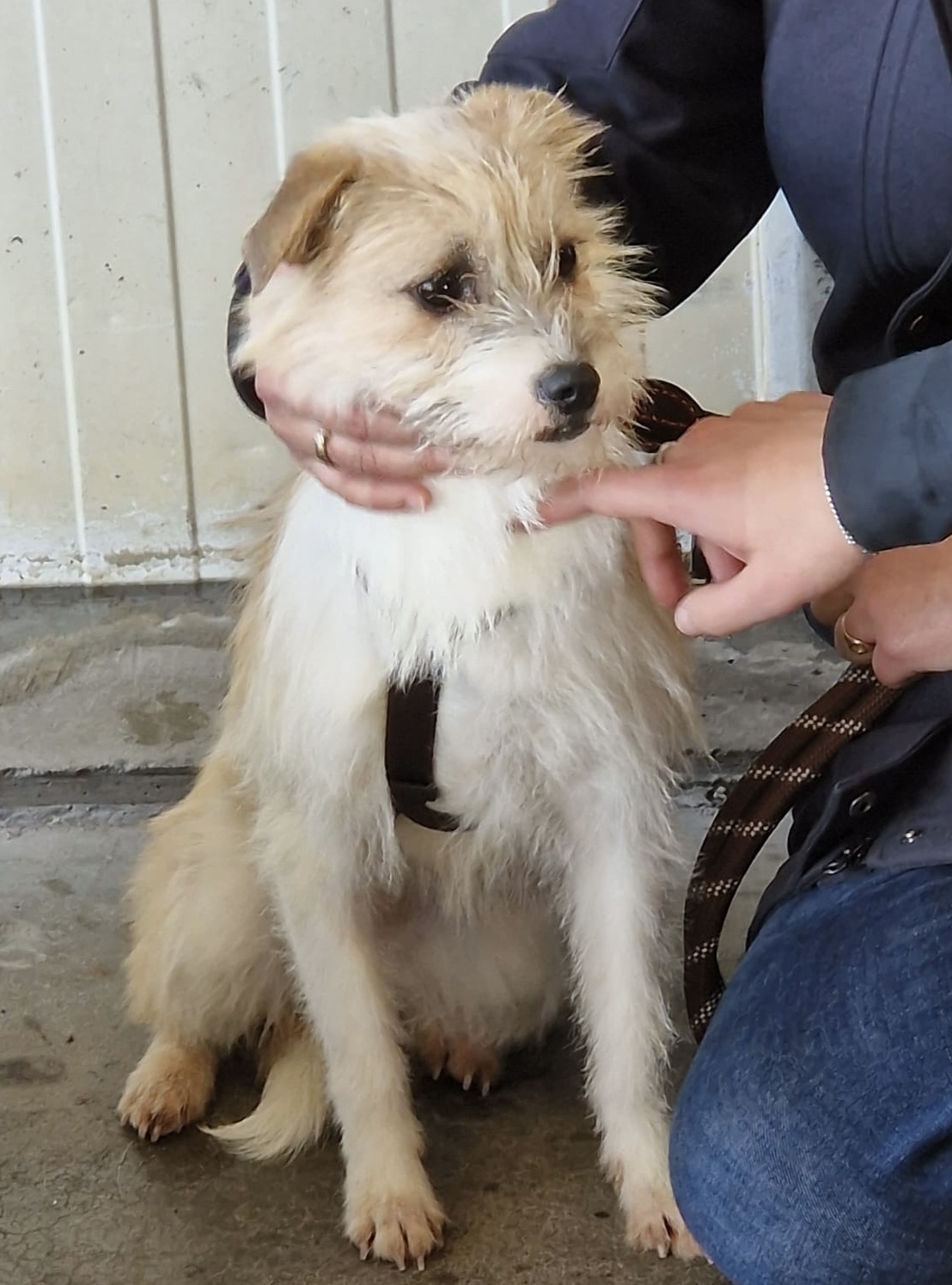 e1b46ff4 7e0e 433f a190 4af1f97826f8