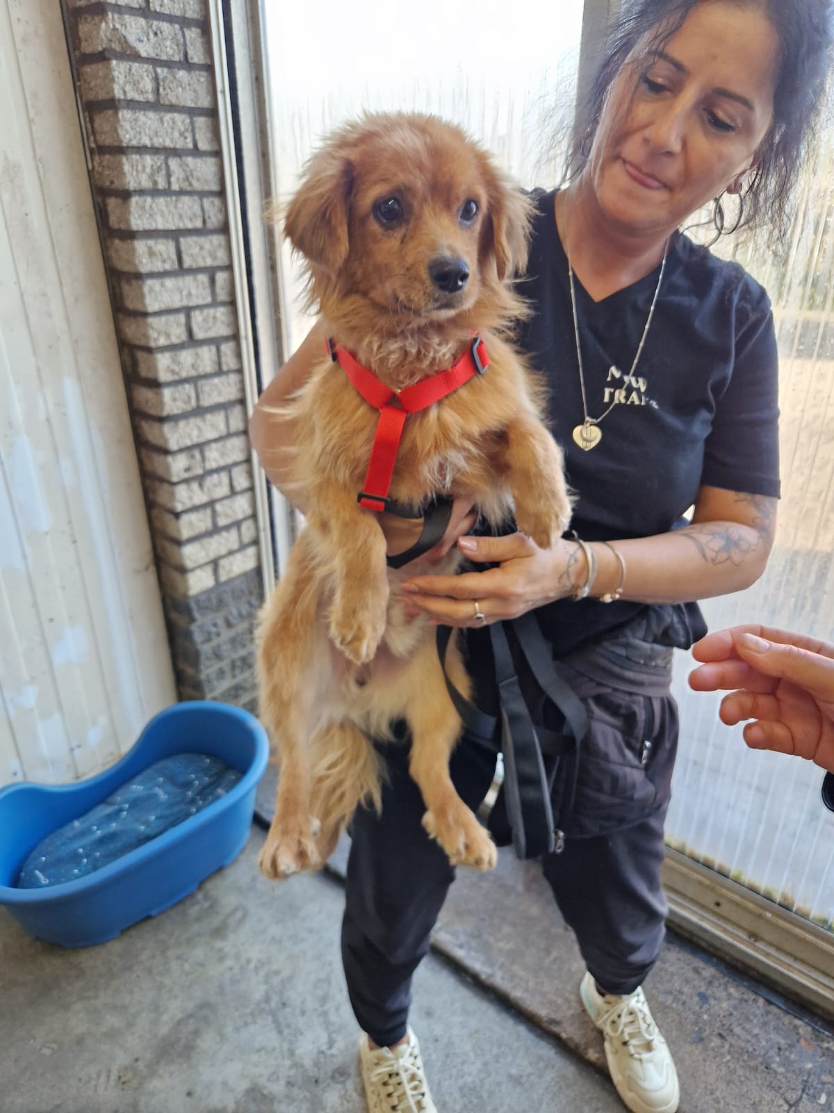 e4e1ea57 72ca 4fb0 8484 771e60f602c9