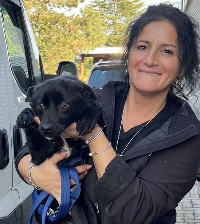 e8f2e85e c597 43b1 92ed 7a3506818268